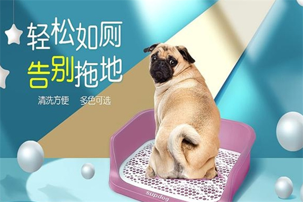 四邻宠物