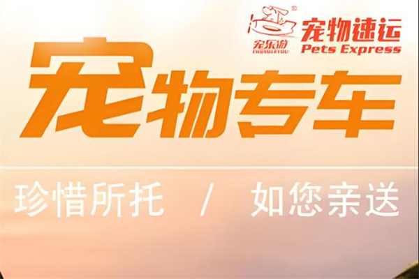 宠乐游