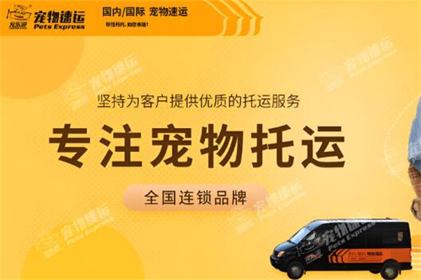 宠乐游