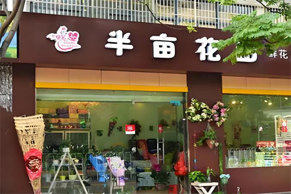 半亩花田