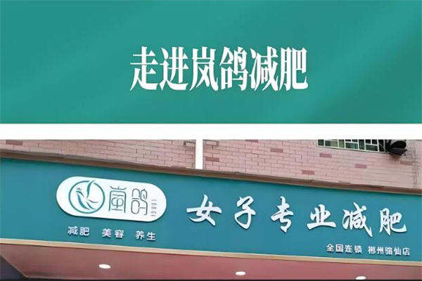 岚鸽女子专业减肥