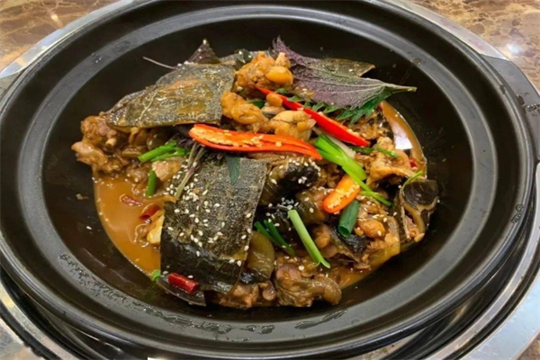 八鼎记甲鱼鸡子牛鞭煲