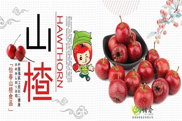 怡春食品