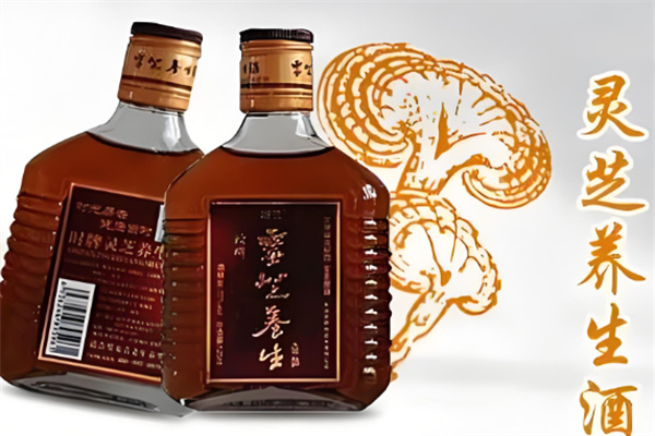 健康动力保健酒业加盟