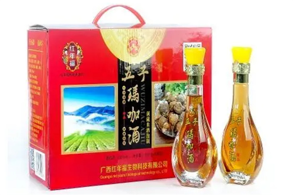 健康动力保健酒业加盟