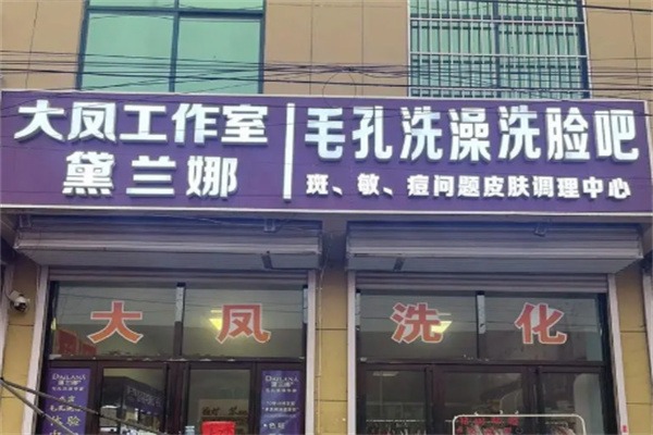 黛兰娜毛孔洗澡洗脸加盟