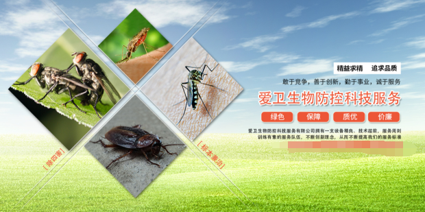 爱卫除四害用品