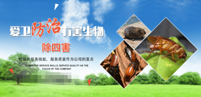 爱卫除四害用品