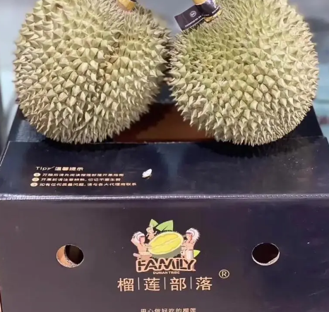 榴莲部落