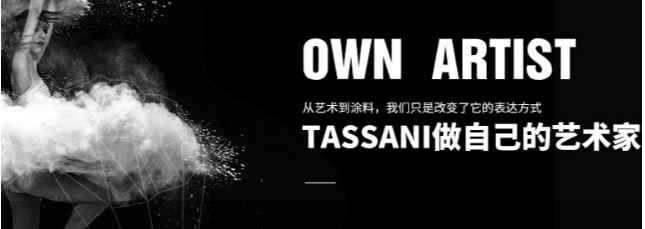 塔萨尼高端艺术涂料