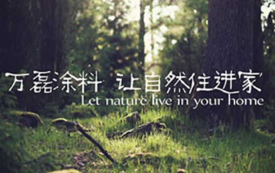 万磊外墙漆