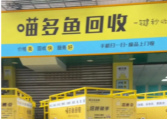 喵多鱼回收
