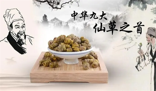仙草传世