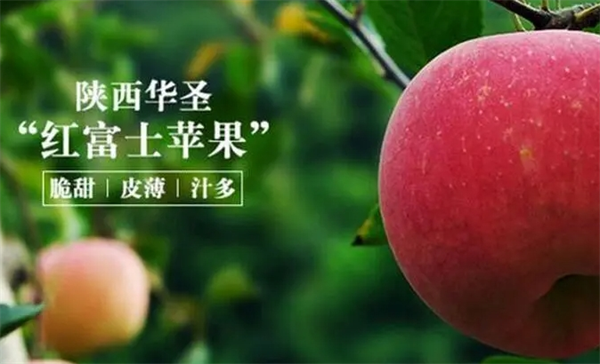 华圣鲜果