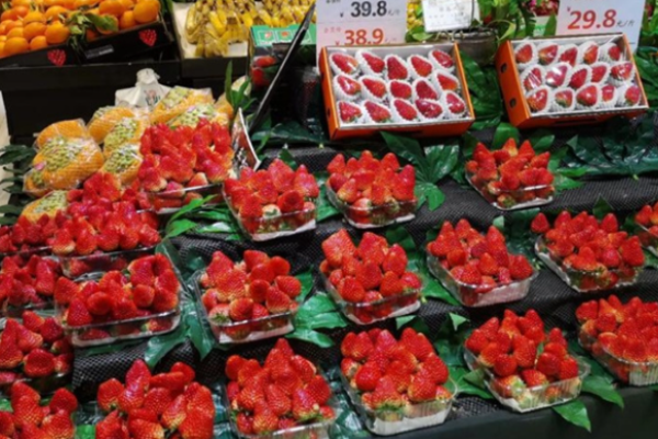 夏鲜生优果