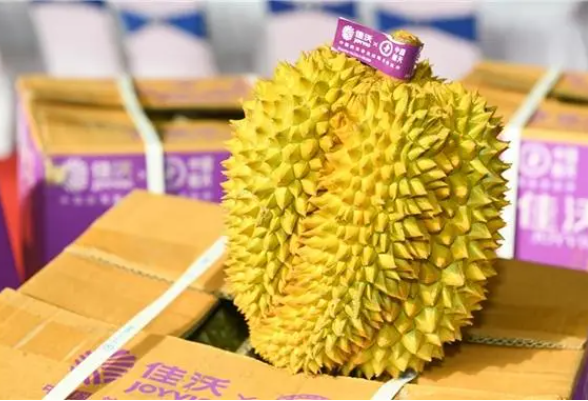 佳沃果业加盟