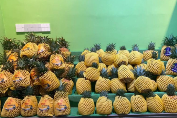 喜果水果店加盟电话是多少?