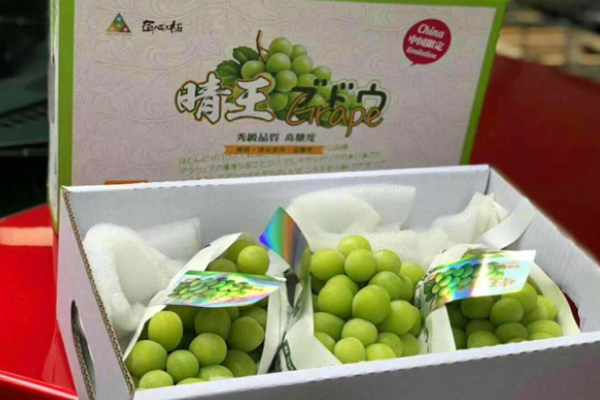 匠心极水果