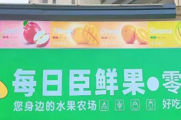 每日臣鲜果加盟