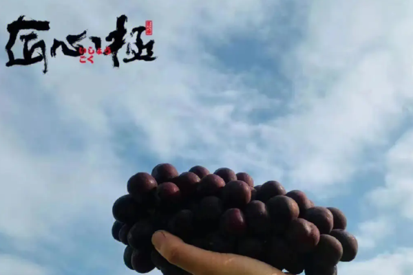 匠心极水果加盟