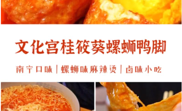 桂筱葵螺蛳鸭脚加盟
