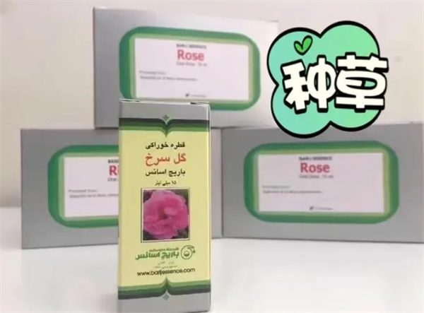 波斯玫瑰