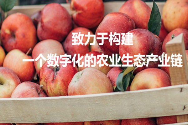 果臻优品水果店