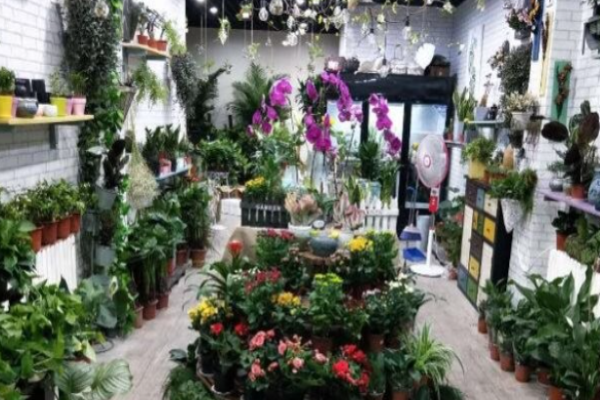 花艺轩鲜花店加盟