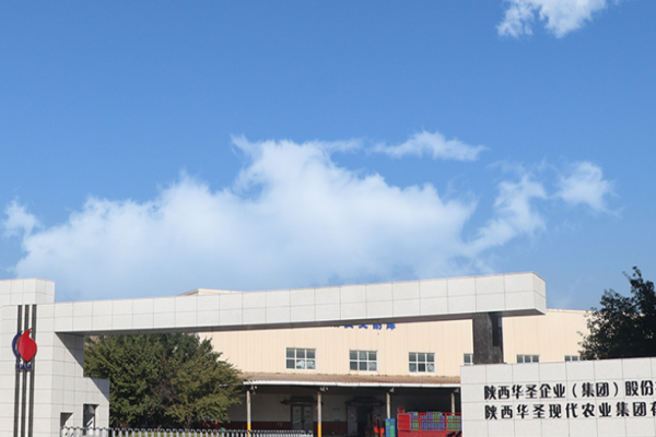 华圣果业加盟