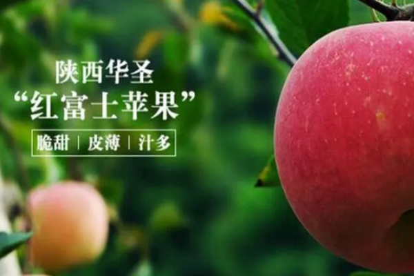 华圣果业