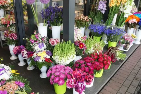 花思忆鲜花