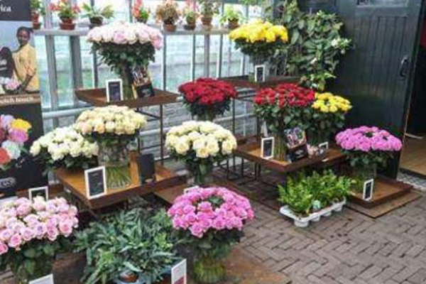 花递鲜花店加盟