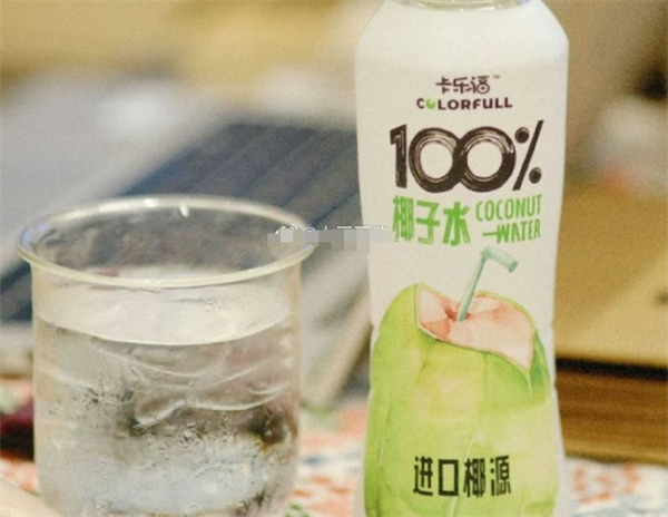 椰源世嘉