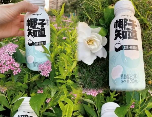 椰源世嘉