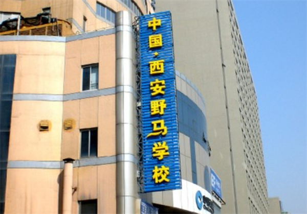 野马电脑培训学校