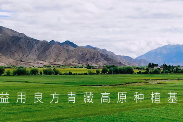 益用良方