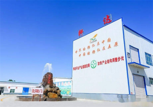 轩达食品