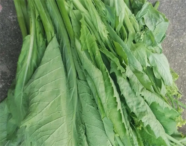 康贝恩绿色食品