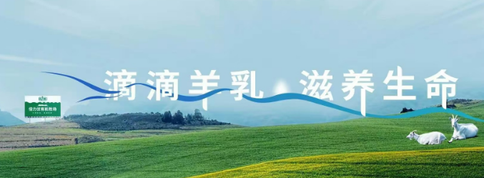 倍力优羊奶粉