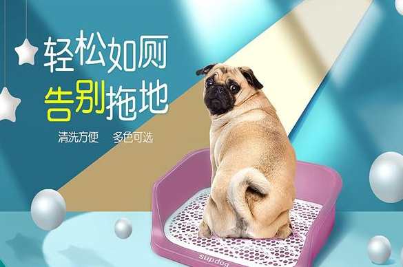 九易宠物