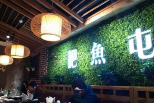 肥鱼屯活鱼锅加盟