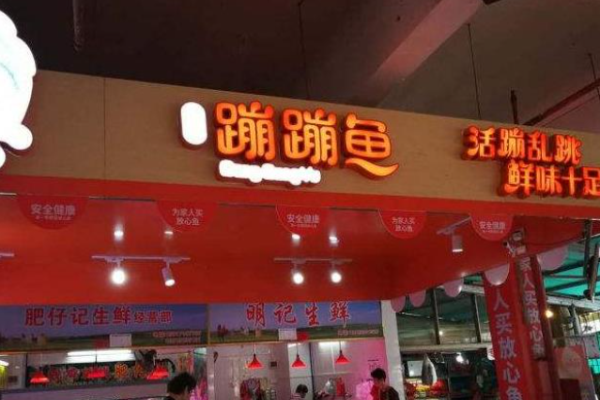 何氏蹦蹦鱼加盟