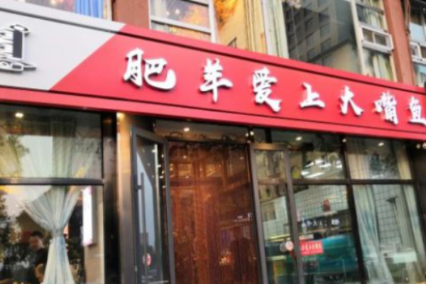 肥羊爱上大嘴鱼加盟