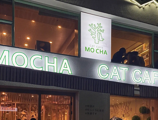MOCHA猫咪咖啡