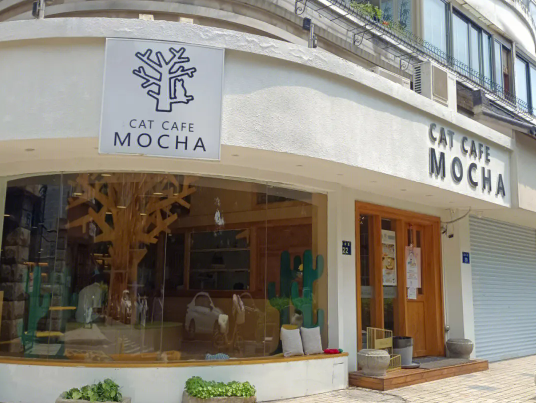 MOCHA猫咪咖啡