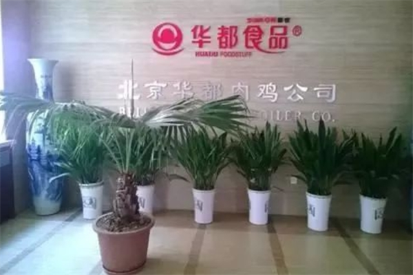 华都肉鸡