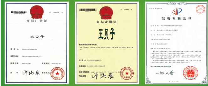 五倍子护发染发