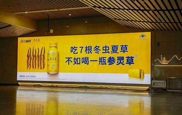 参灵草