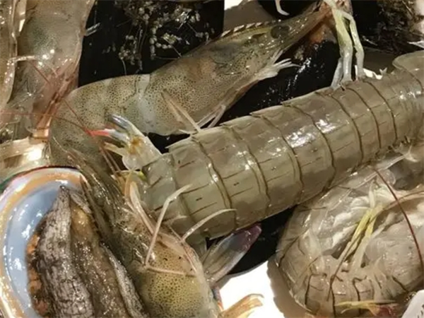 大副蒸海鲜