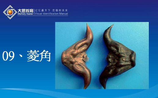大思教育